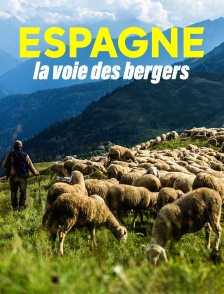 Espagne, la voie des bergers