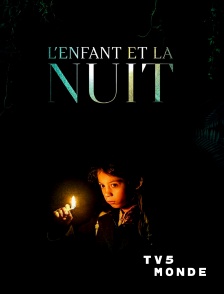 TV5MONDE - L'enfant et la nuit