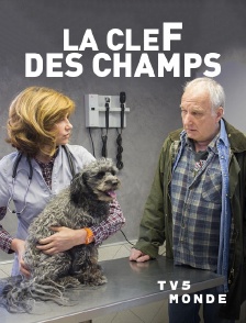 TV5MONDE - La clef des champs
