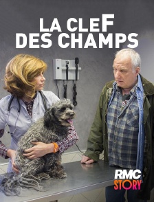 RMC Story - La clef des champs