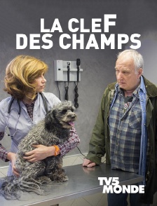 TV5MONDE - La clef des champs