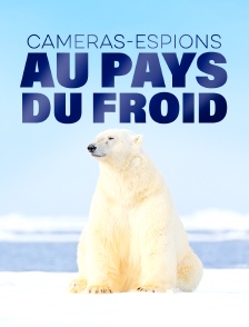 Caméras-espions au pays du froid
