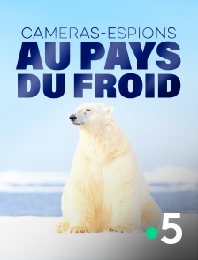 France 5 - Caméras-espions au pays du froid