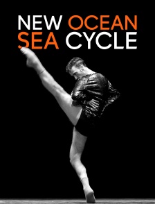 New Ocean Sea Cycle