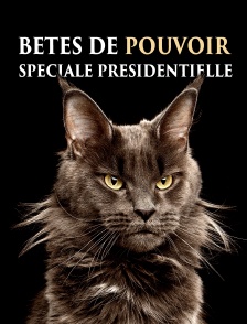 Bêtes de pouvoir : spéciale Présidentielle