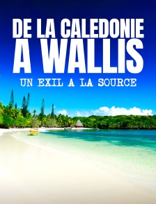 De la Calédonie à Wallis, un exil à la source