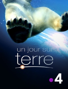 Un jour sur terre