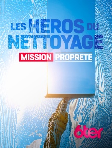 Les héros du nettoyage : mission propreté