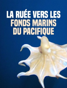 La ruée vers les fonds marins du Pacifique