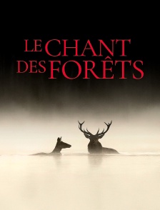 Le Chant des forêts