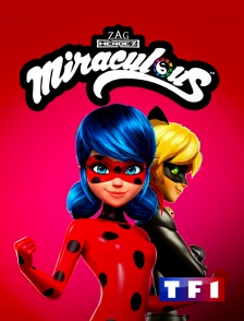 Miraculous : les aventures de Ladybug et Chat Noir