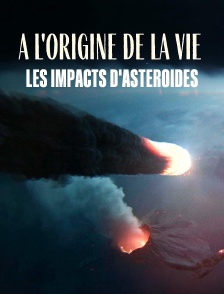 A l'origine de la vie : Les impacts d'astéroïdes