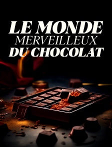 Le monde merveilleux du chocolat