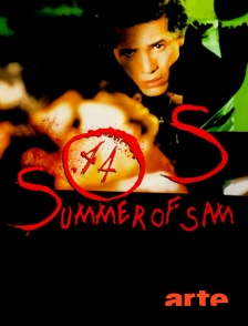 Arte - Summer of Sam