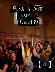 France TV Docs - Punk is not vraiment dead ?!