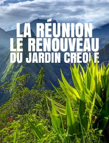 La Réunion, le renouveau du jardin créole