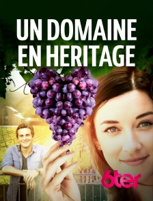 Un domaine en héritage