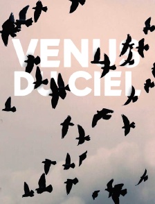 Venus du ciel