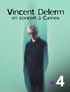 France 4 - Vincent Delerm en concert à Cannes