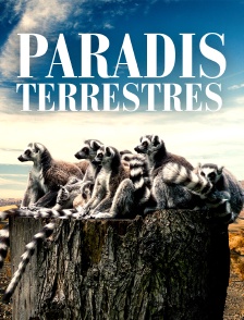 Paradis terrestres