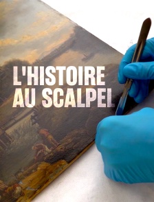 L'histoire au scalpel