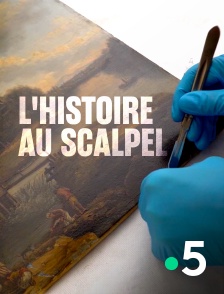 France 5 - L'histoire au scalpel