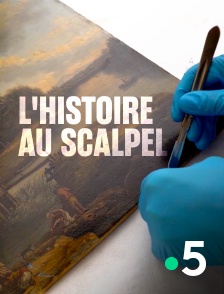 L'histoire au scalpel