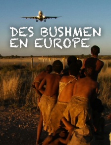 Des Bushmen en Europe