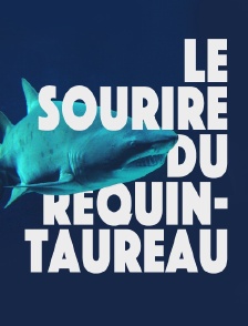 Le sourire du requin-taureau