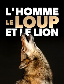 L'homme, le loup et le lion