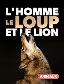 Animaux - L'homme, le loup et le lion