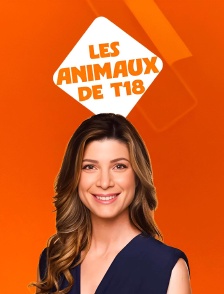 Les animaux de T18