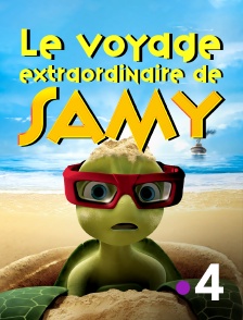 France 4 - Le voyage extraordinaire de Samy