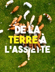 De la terre à l'assiette