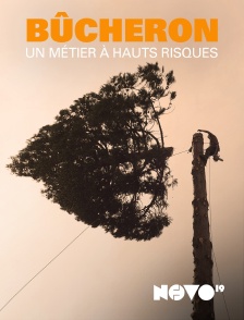 NOVO19 - Bucheron : un métier à hauts risques
