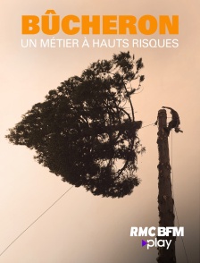 Bucheron : un métier à hauts risques