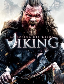 Viking : la fureur des Dieux