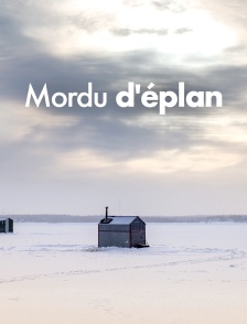 Mordu d'éplan