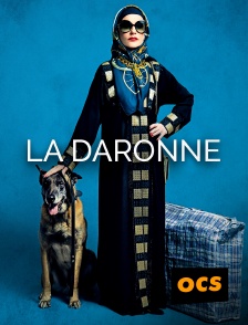 OCS - La Daronne