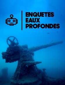 EnquĂŞtes en eaux profondes