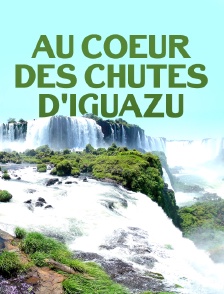 Au coeur des chutes d'Iguazu
