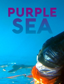 Purple Sea