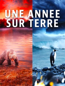 Une année sur Terre