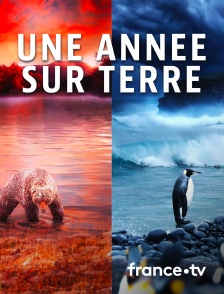 France.tv - Une année sur Terre