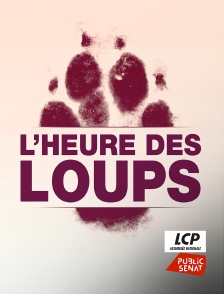 LCP Public Sénat - L'heure des loups