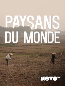 Novo 19 - Paysans du monde