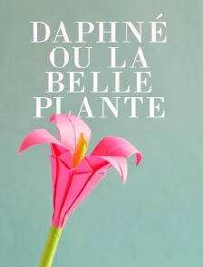 Daphné ou la belle plante