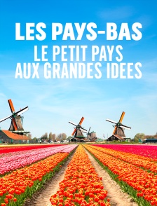 Les Pays-Bas : Le petit pays aux grandes idées