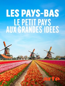 Arte - Les Pays-Bas : Le petit pays aux grandes idées