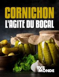 TV5MONDE - Cornichon, l'agité du bocal